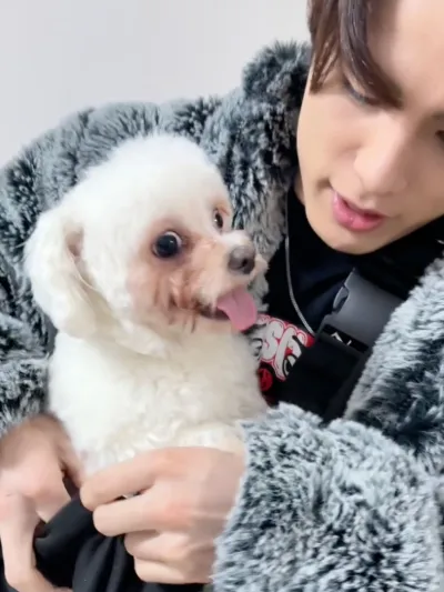 マロ散歩行こう♡