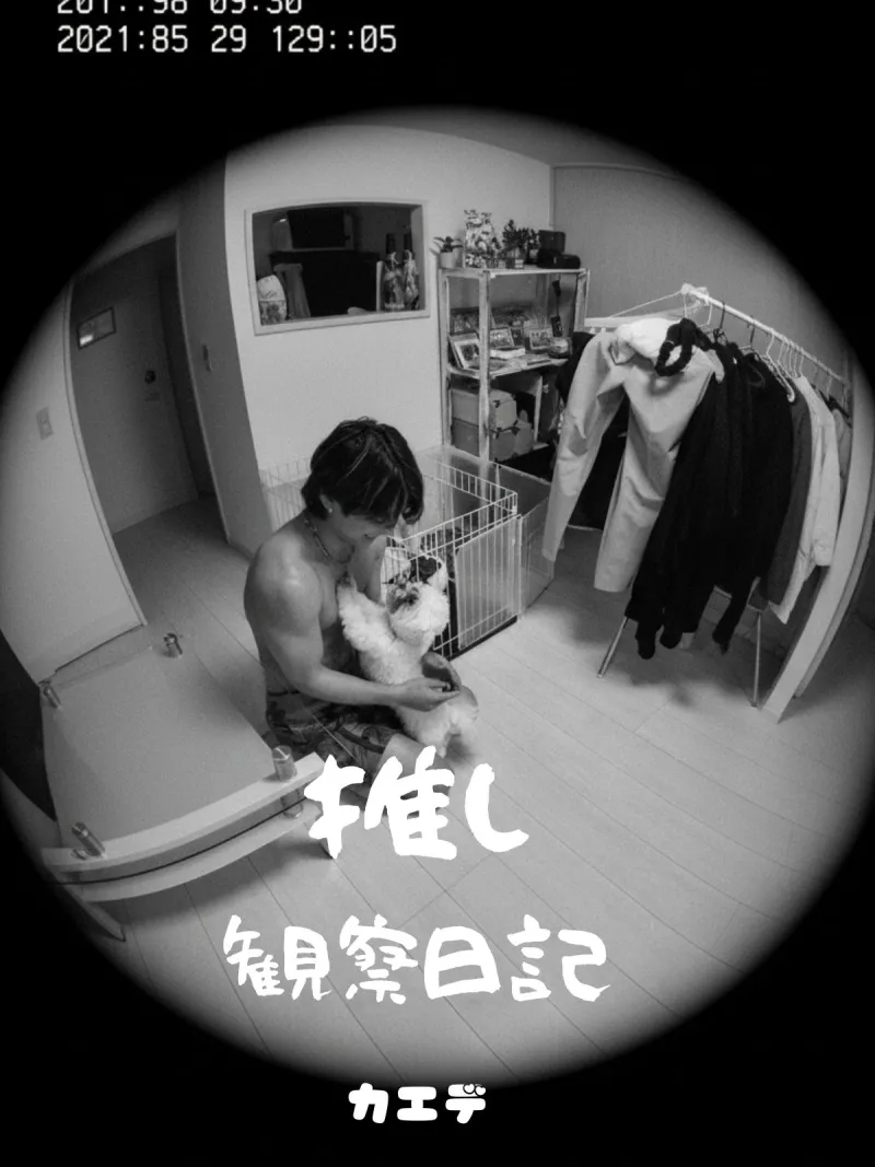 推し観察日記【カエデ編】