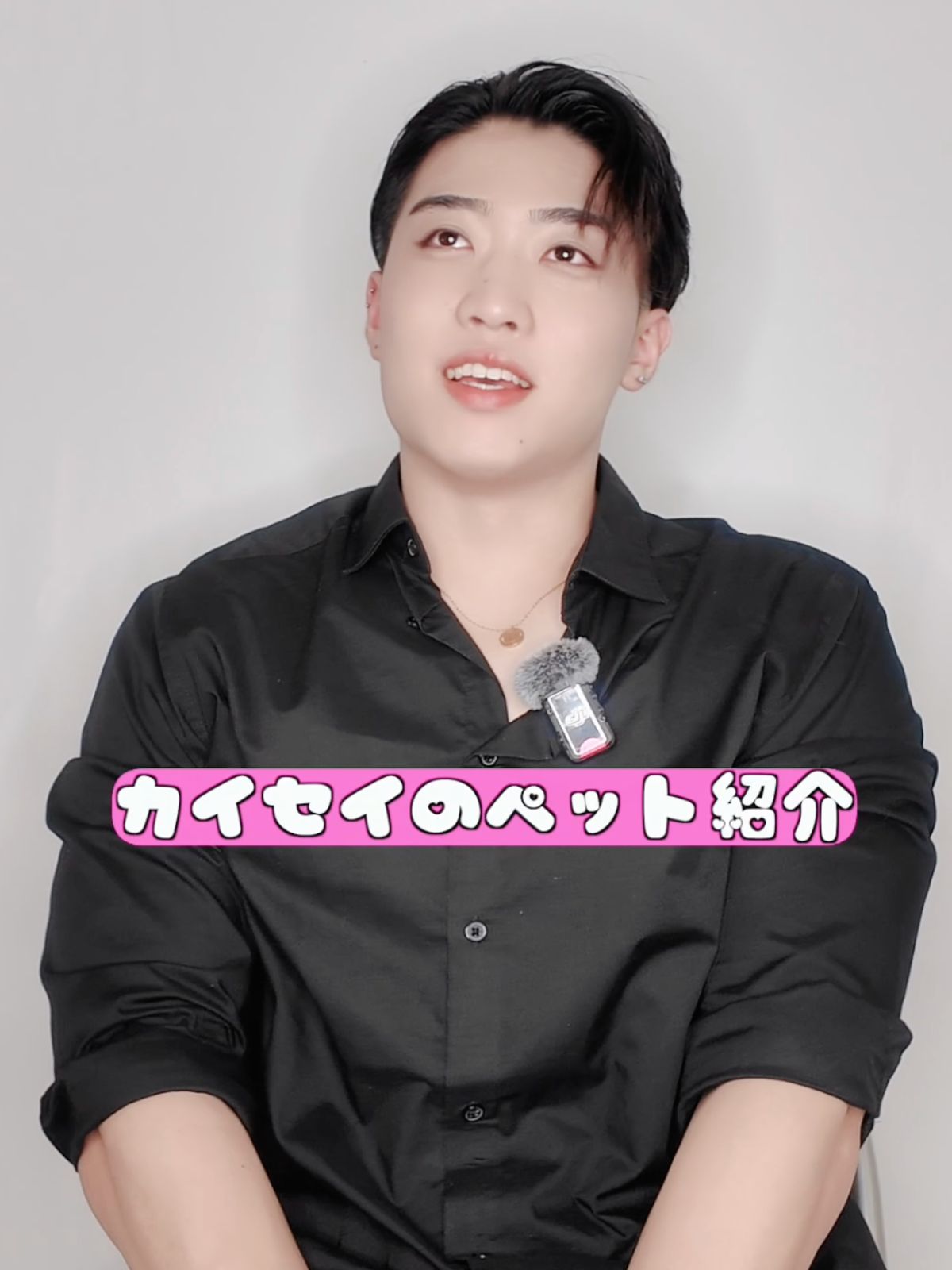 カイセイのペット１