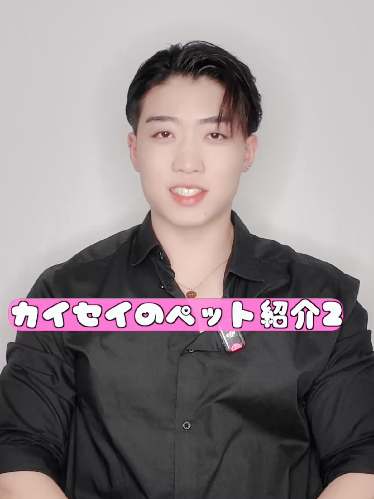 カイセイのペット２